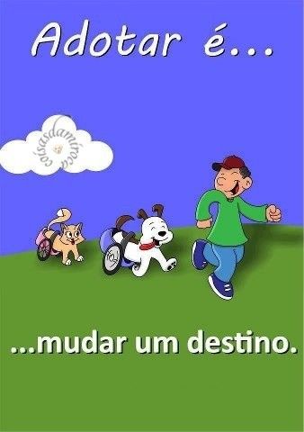 Adotar é mudar um destino...(53)