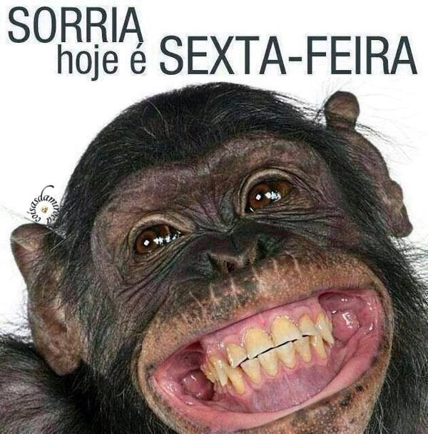 SEXTA - FEIRA! SORRIA...(8)