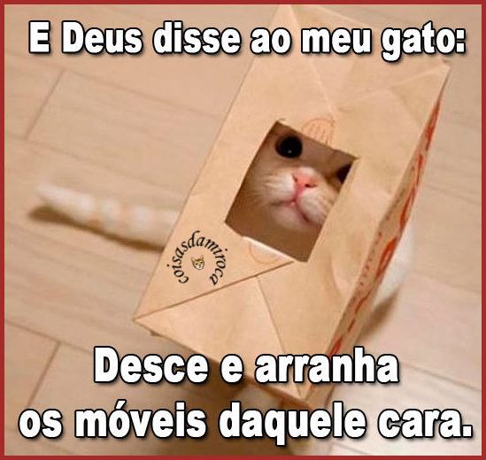 Deus disse: vai e apronta!...(70)