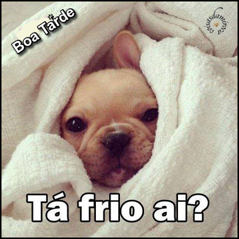 Boa Tarde!...Tá Frio Aí?...(90)