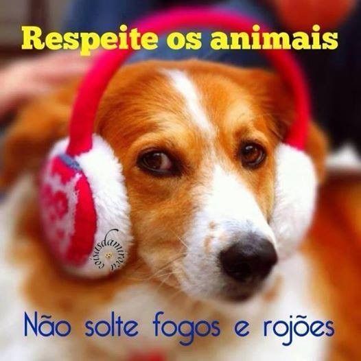RESPEITE OS ANIMAIS, NÃO SOLTE FOGOS....(05)
