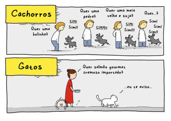 TIRINHA: cão e gato na hora de comer...(29)