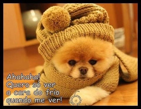 FRIO...Quero Ver o frio Me Pegar!!...(107)