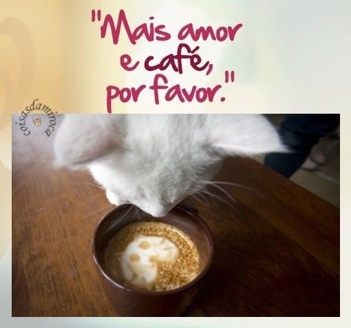 Café e Amor...(37)