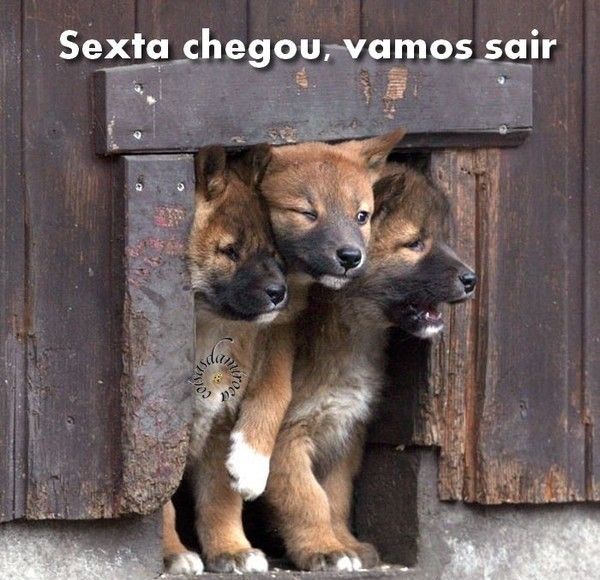 Sexta feira...Vamos Sair!...(5)