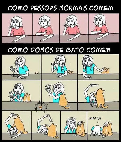 TIRINHA: Como donos de gato comem... (104)