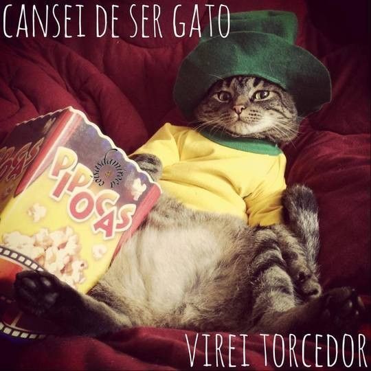 Cansei de Ser Gato...Sou Torcedor...(04)