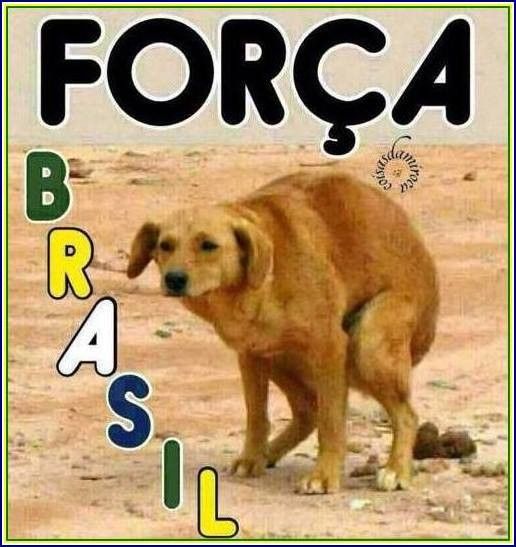 FORÇA BRASIL!!....(05)