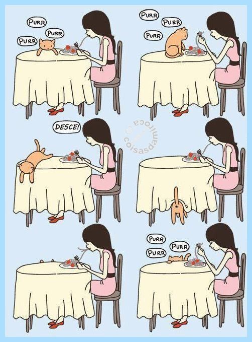 TIRINHA: Comendo com o gato...(49)