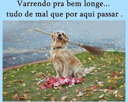 VARRENDO TODO MAL DAQUI...(88)