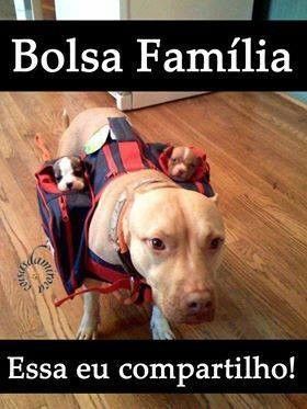 BOLSA FAMÍLIA...(6)