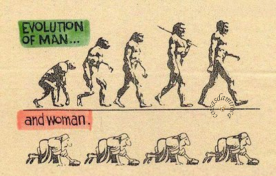 TIRINHA: Evolução Masculina e feminina...(65)