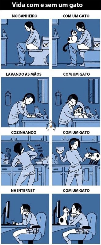 TIRINHA: Seu dia a dia com um gato... (102)