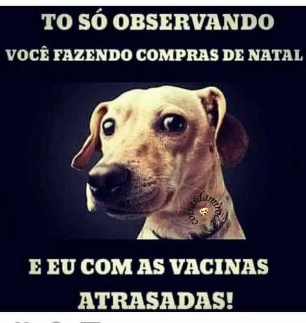 VACINAÇÂO!! Não Esqueçam...