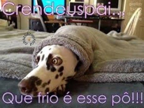 FRIO...Crendeuspai!!...(106)