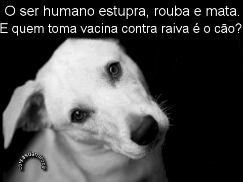 HUMANO MATA e QUEM TOMA VACINA DE RAIVA É O CÃO...(04)