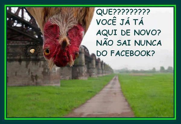 Sai do FaceBook!!...(141)