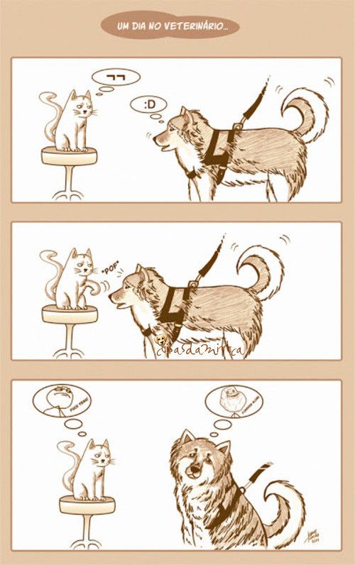 TIRINHA: dog e cat no veterinário pensando...(8)