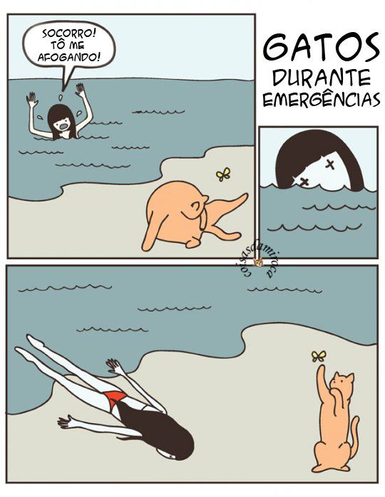 TIRINHA:  Não espere socorro de um gato... (101)