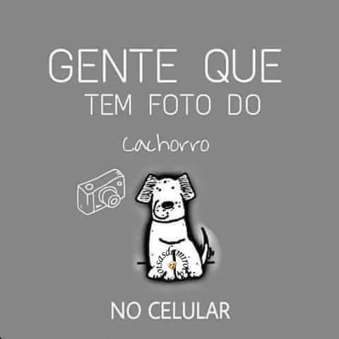 TIRINHA: Foto de dog no celular...(31)