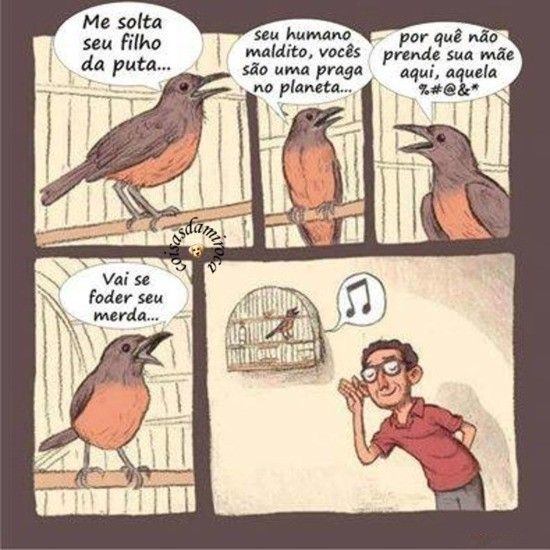 TIRINHA: Lamento de Um Pássaro Preso...(10)