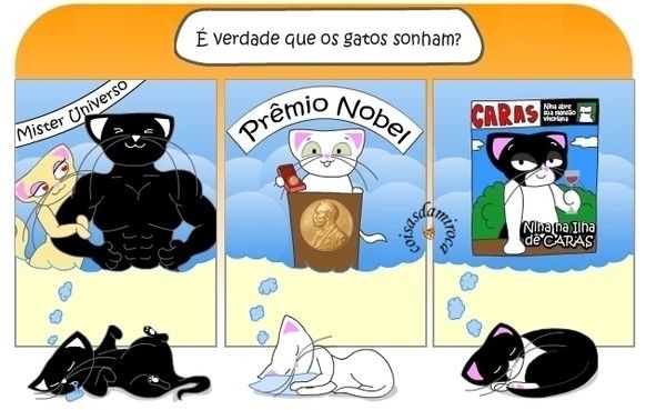 TIRINHA: Gatos Sonham?... (68)