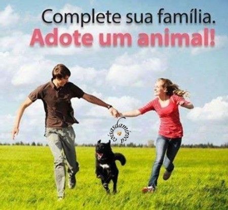 Família Completa Tem Animal...(8)